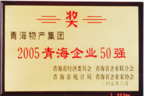 2005青海企业50强
