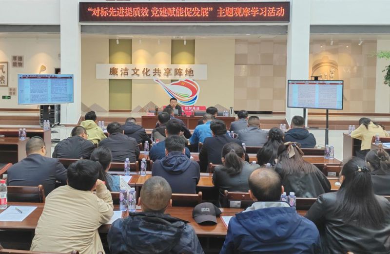集团党委组织开展主题观摩学习活动