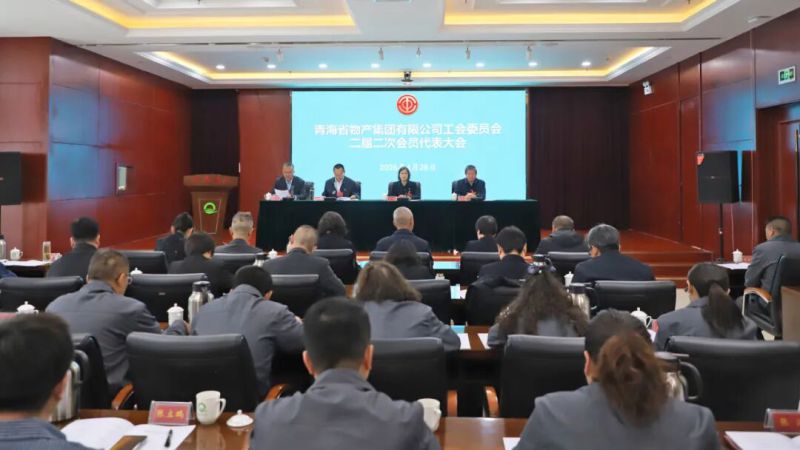 集团工会召开二届二次会员代表大会